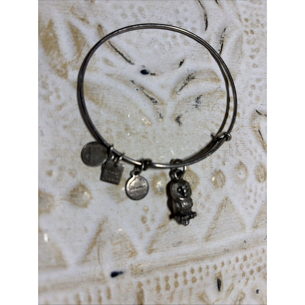 ALEX And ANI Ode to the Owl Silver Tone Charm Bracelet